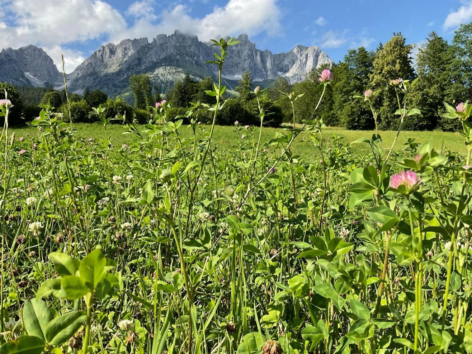 Stadtvilla Belle Kitz Im Zentrum Mit Sauna By Belle Stay Kitzbuhel Luaran gambar